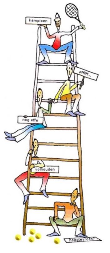 Laddercompetitie